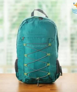 VinnyC Foldable Backpack