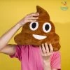 Stybuzz 3D Poop Emoji Cushion All Of It