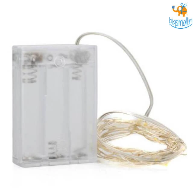 Coral Tree All Of It Fairy LED String Lights (Set Of 2)