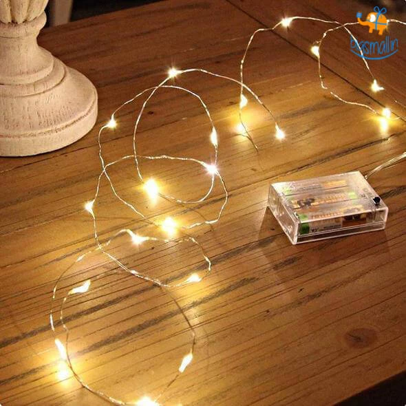 Coral Tree All Of It Fairy LED String Lights (Set Of 2)