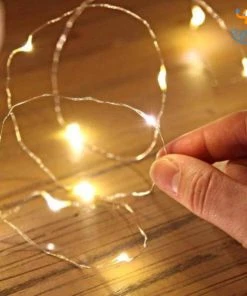 Coral Tree All Of It Fairy LED String Lights (Set Of 2)