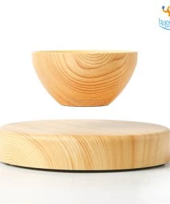 Bigsmall_hmk Levitating Indoor Planter All Of It