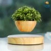 Bigsmall_hmk Levitating Indoor Planter All Of It
