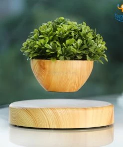 Bigsmall_hmk Levitating Indoor Planter All Of It
