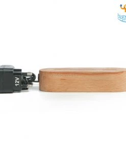 India Vibes Girl Portrait Hologram Lamp Father's Day