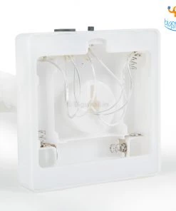 Bigsmall_hmk All Of It White Maple Leaf LED Lamp