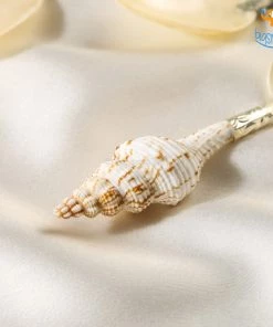 Bigsmall All Of It Shell Spoons - Set Of 2