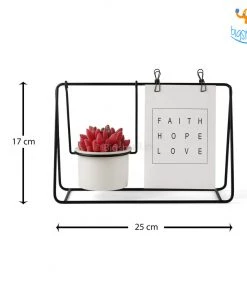 Big Daddy All Of It Nordic Photo Holder With Ceramic Planter