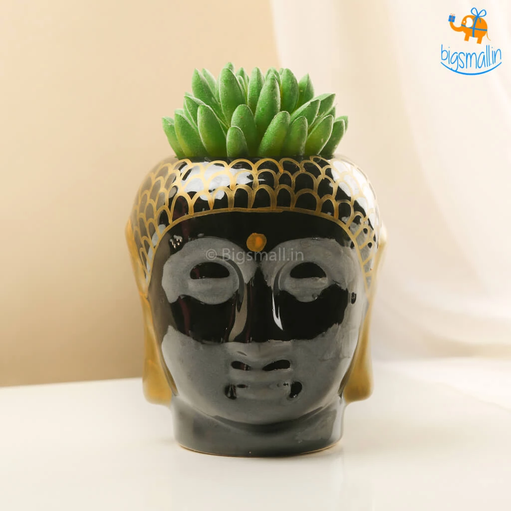 Fancy Buddha Hand-painted Ceramic Planter All Of It