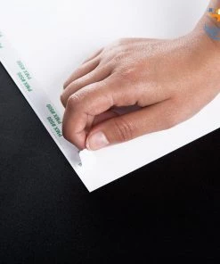 InkFlap Official Minions Poster With Snowing Effect