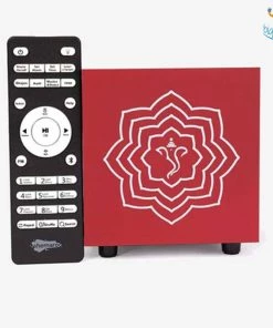 Shemaroo Father's Day Bhakti Bhajan Vaani Speaker