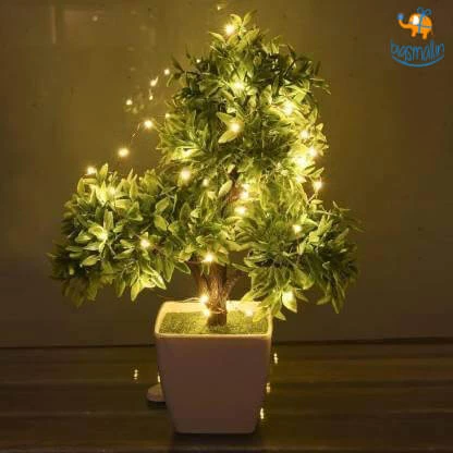 Coral Tree Bottle Cork LED String Lights - Set Of 3