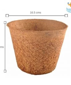 Dream Beans Corporate Vegetable Large Grow It Yourself Kit