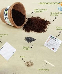 Dream Beans Corporate Vegetable Large Grow It Yourself Kit