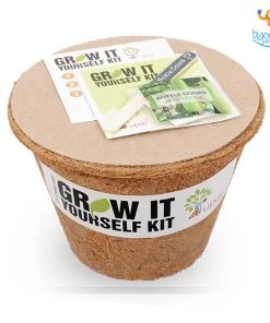 Dream Beans Corporate Vegetable Large Grow It Yourself Kit