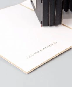 VinnyC Father's Day Camera Pop Up Card