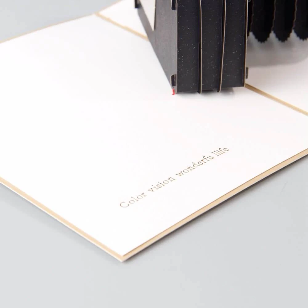 VinnyC Father's Day Camera Pop Up Card