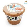 Dream Beans Corporate Vegetable Large Grow It Yourself Kit