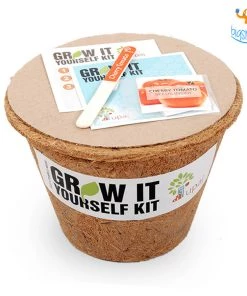 Dream Beans Corporate Vegetable Large Grow It Yourself Kit