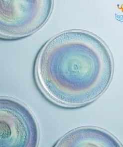 Devnow All Of It Crystal Artisan Plates