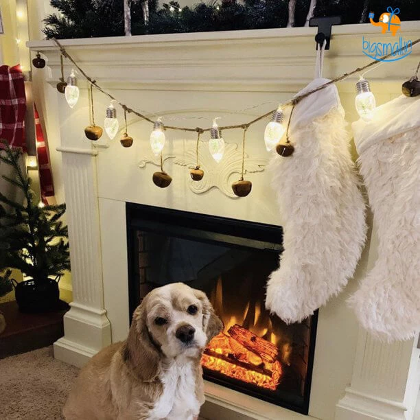 PunitSB Christmas Tree In A Snow Globe Bulb String Lights