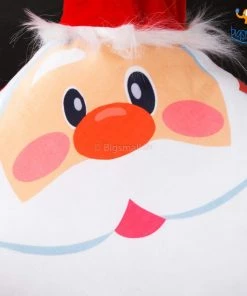 Stybuzz 3D Santa Cushion All Of It