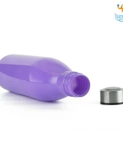 Devnow Hand-Painted Glass Water Bottle