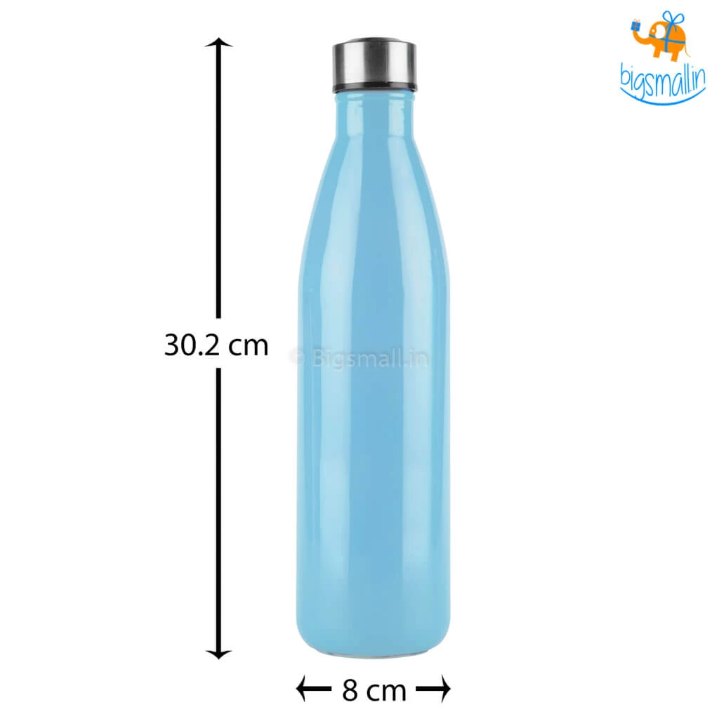 Devnow Hand-Painted Glass Water Bottle