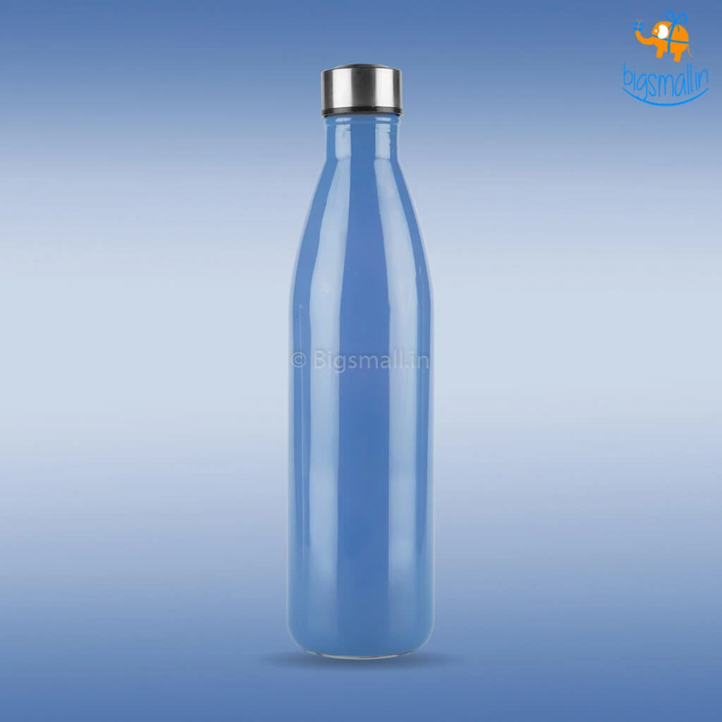Devnow Hand-Painted Glass Water Bottle