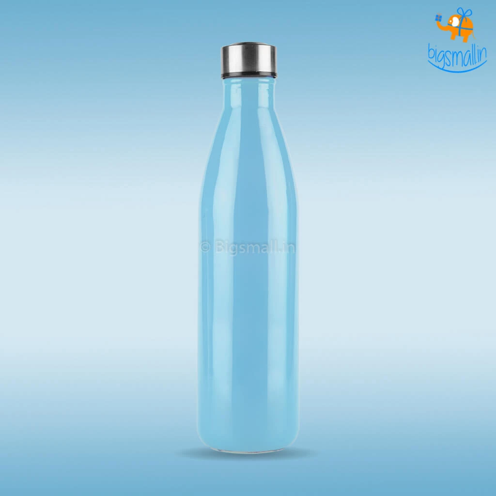 Devnow Hand-Painted Glass Water Bottle
