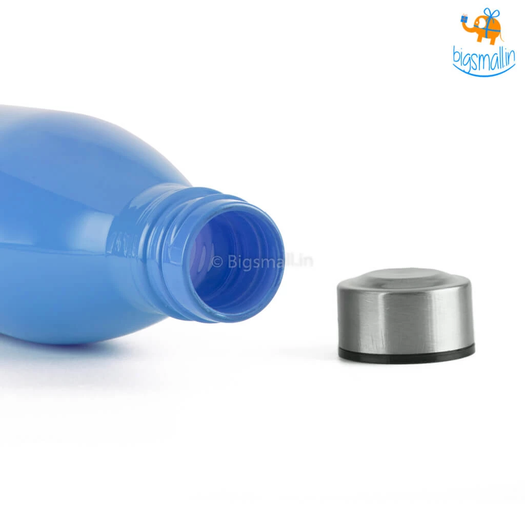 Devnow Hand-Painted Glass Water Bottle