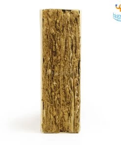 Ascetic Colosseum File Keeper