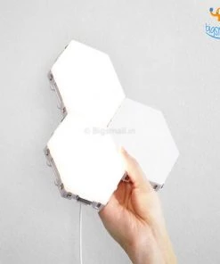 Coral Tree Father's Day Modular Touch Lights