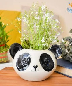 Hollyhock All Of It Panda Planter