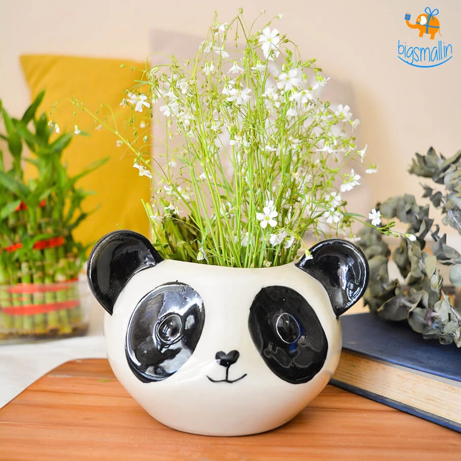 Hollyhock All Of It Panda Planter