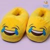 Big Daddy Emoji Plush Slippers