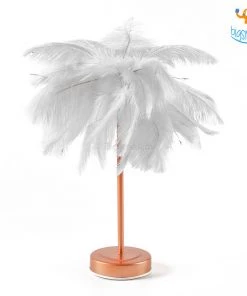 Bigsmall_hmk Corporate Feather Table Lamp