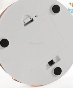 Bigsmall_hmk Corporate Feather Table Lamp