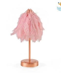 Bigsmall_hmk Corporate Feather Table Lamp