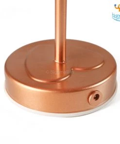 Bigsmall_hmk Corporate Feather Table Lamp