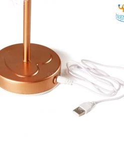 Bigsmall_hmk Corporate Feather Table Lamp