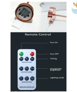 Bigsmall_hmk Corporate Feather Table Lamp