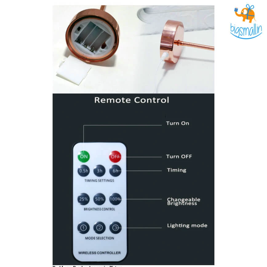 Bigsmall_hmk Corporate Feather Table Lamp