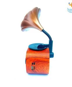 Bigsmall Vintage Gramophone Bluetooth Speaker