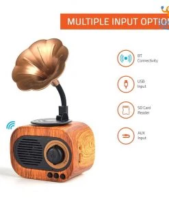 Bigsmall Vintage Gramophone Bluetooth Speaker