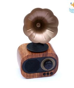Bigsmall Vintage Gramophone Bluetooth Speaker