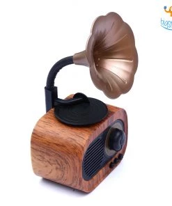 Bigsmall Vintage Gramophone Bluetooth Speaker