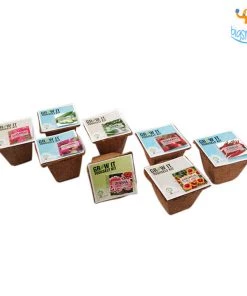 Dream Beans Grow It Yourself Kit - Pack Of 8 Corporate