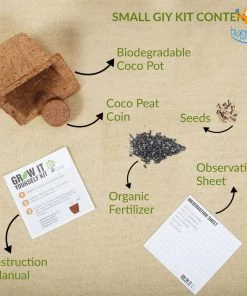 Dream Beans Grow It Yourself Kit - Pack Of 8 Corporate