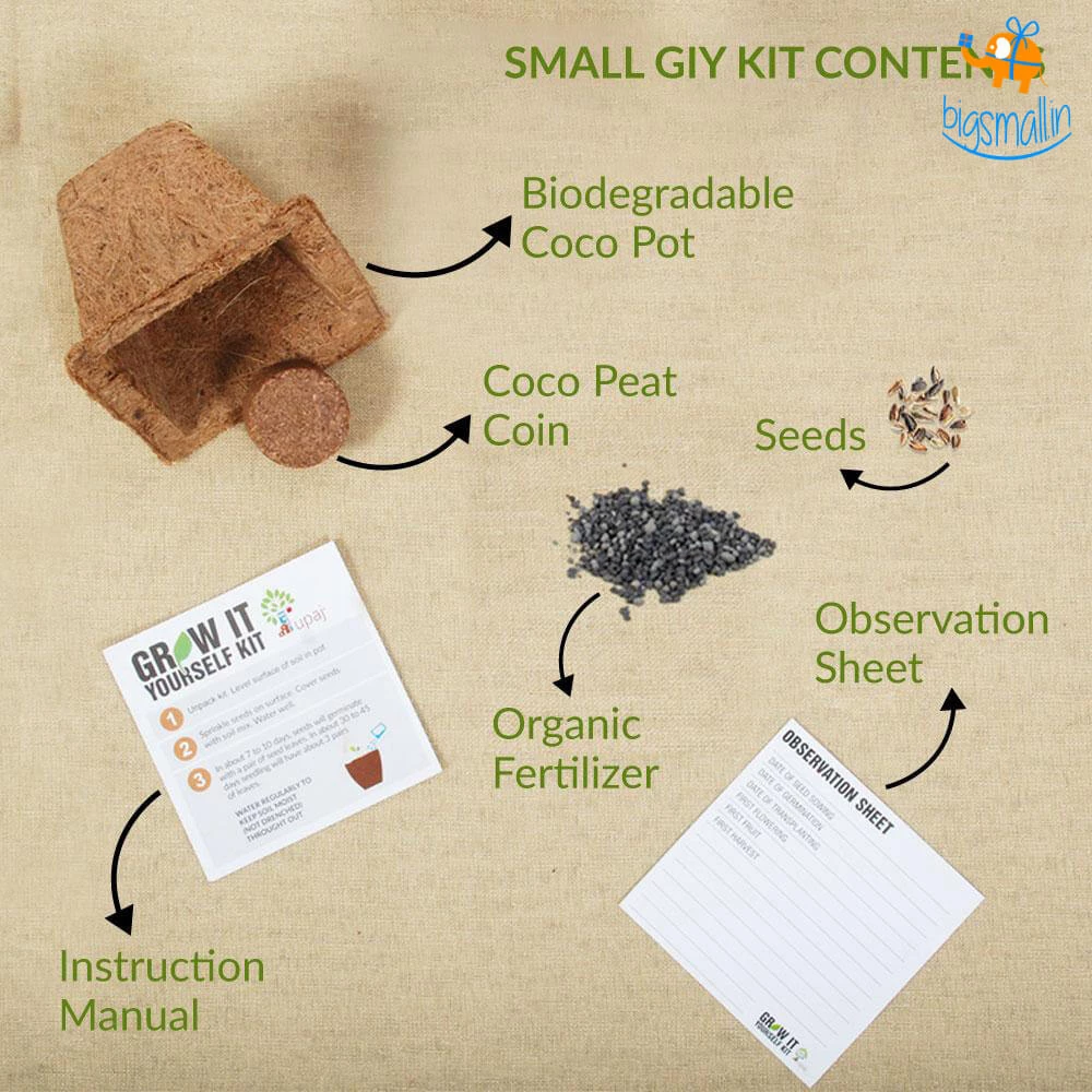 Dream Beans Grow It Yourself Kit - Pack Of 8 Corporate